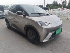 BYD Seagull 2025 305km Vitality Edition - ფოტო 4