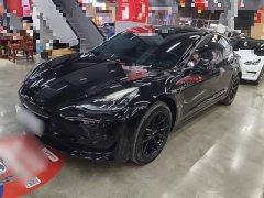 Tesla Model 3 Rear-Wheel Drive - ფოტო 1