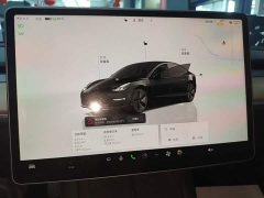 Tesla Model 3 Rear-Wheel Drive - ფოტო 12