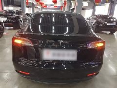 Tesla Model 3 Rear-Wheel Drive - ფოტო 6