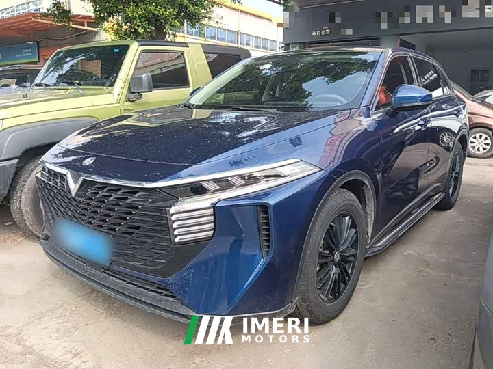 Nissan Raize 2021 260T Love Bean Edition - ავტომობილი ჩინეთიდან