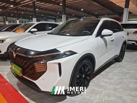 2022 Nissan Venucia V 2021 260T Monarch Edition - ავტომობილი ჩინეთიდან