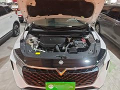Nissan Venucia V 2021 260T Monarch Edition - ფოტო 20