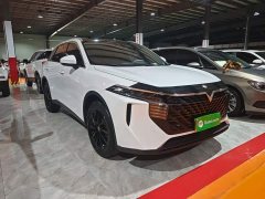 Nissan Venucia V 2021 260T Monarch Edition - ფოტო 4