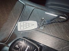 Nissan Venucia V 2021 260T Monarch Edition - ფოტო 9