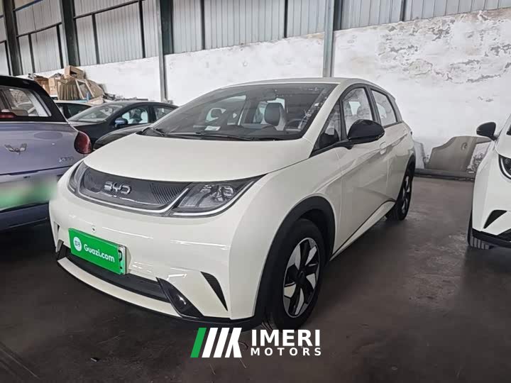 BYD Dolphin 2025 420km Freedom Edition - ავტომობილი ჩინეთიდან