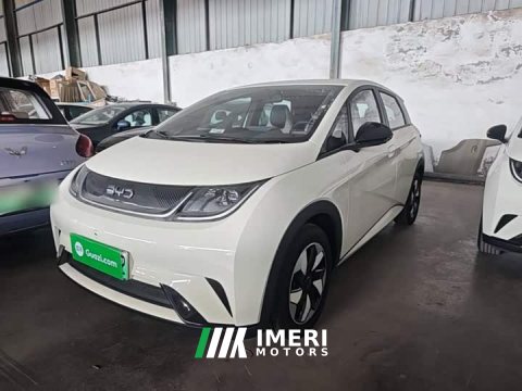 2026 BYD Dolphin 2025 420km Freedom Edition - ავტომობილი ჩინეთიდან