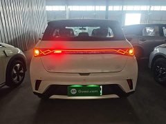 BYD Dolphin 2025 420km Freedom Edition - ფოტო 6
