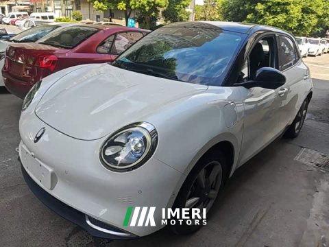 2021 ORA Good Cat 400km Standard Range Athena Edition Ternary Lithium - ავტომობილი ჩინეთიდან