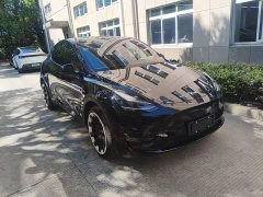 Tesla Model Y Long Range All-Wheel Drive - ფოტო 4