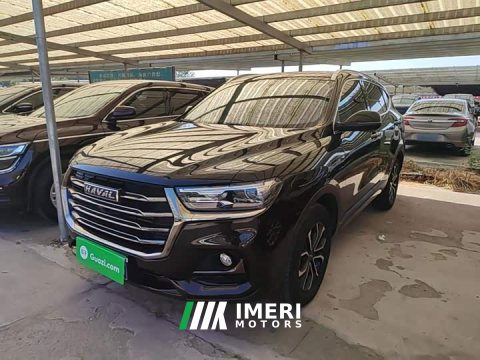 2021 Haval H6 National Trend Edition 1.5T Automatic Urban Version - ავტომობილი ჩინეთიდან