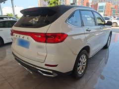 Haval M6 PLUS 1.5T DCT Luxury Smart Connected Edition - ფოტო 5