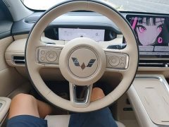 Wuling Bingguo S 325km Deluxe Edition - ფოტო 11