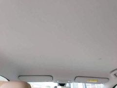 Wuling Bingguo S 325km Deluxe Edition - ფოტო 18