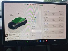 Tesla Model Y Rear-Wheel Drive - ფოტო 12