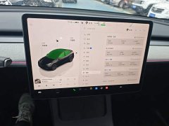 Tesla Model Y Rear-Wheel Drive - ფოტო 13
