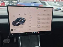 Tesla Model Y Rear-Wheel Drive - фото 12