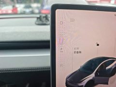 Tesla Model Y Rear-Wheel Drive - фото 13