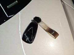 Changan Qiyuan A05 Classic Fragrant Edition 70 Superior - ფოტო 9
