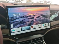BYD Dolphin 2023 DM-i 1.5L 121km Luxury - ფოტო 13