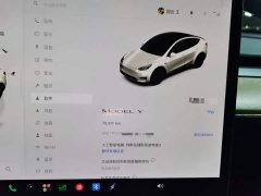 Tesla Model Y Rear-Wheel Drive - ფოტო 12