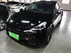 Tesla Model Y Rear-Wheel Drive - ფოტო 2