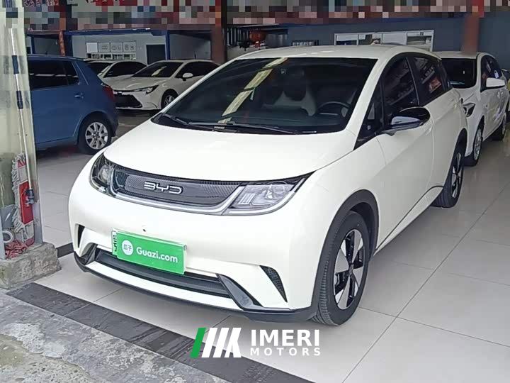 BYD Dolphin 420km Freedom Edition