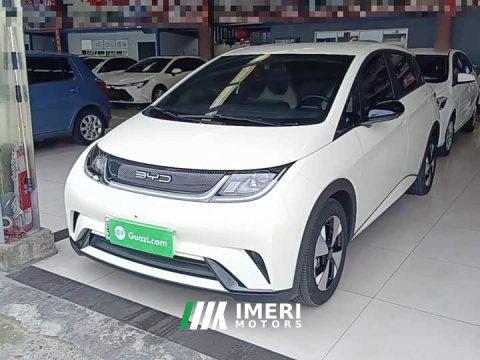 2023 BYD Dolphin 420km Freedom Edition - ავტომობილი ჩინეთიდან