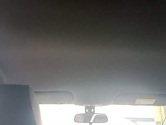 BYD Dolphin 420km Freedom Edition - ფოტო 14