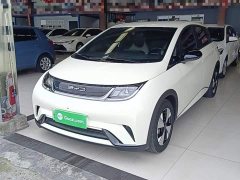 BYD Dolphin 420km Freedom Edition - ფოტო 2