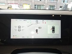 BYD Song Pro New Energy DM-i 115KM Excellence Edition with Smart Driving - ფოტო 12