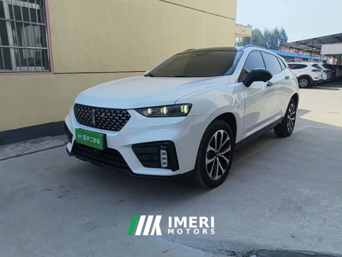 2021 Great Wall Wei Brand VV7 2020 2.0T Ultra Luxury - ავტომობილი ჩინეთიდან