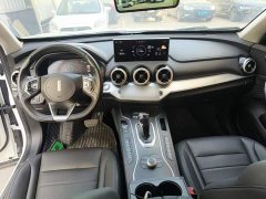 Great Wall Wei Brand VV7 2020 2.0T Ultra Luxury - ფოტო 10