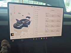 Tesla Model 3 Rear-Wheel Drive - ფოტო 13