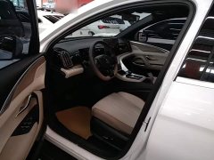 BYD Song Pro New Energy 2023 Champion Edition DM-i 110KM Excellence - ფოტო 15