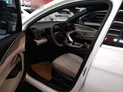 BYD Song Pro New Energy 2023 Champion Edition DM-i 110KM Excellence - ფოტო 16