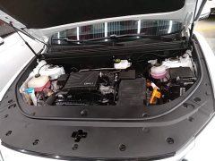 BYD Song Pro New Energy 2023 Champion Edition DM-i 110KM Excellence - ფოტო 20