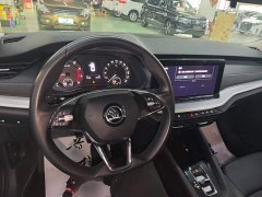 Skoda Octavia PRO TSI280 DSG Luxury - ფოტო 10