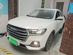Haval H6 2021 National Trend Edition 1.5T Automatic Urban Version - ფოტო 2