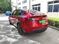 Tesla Model Y Rear-Wheel Drive - ფოტო 5