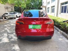 Tesla Model Y Rear-Wheel Drive - ფოტო 6