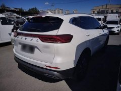 Haval H6 2021 National Trend Edition 1.5T Automatic Urban Version - ფოტო 7