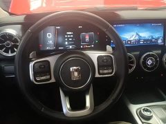 Tank 300 Off-Road Edition 2.0T Conqueror - ფოტო 11