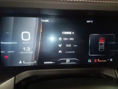 Tank 300 Off-Road Edition 2.0T Conqueror - ფოტო 12