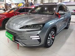 BYD Song Plus New Energy 2023 Champion Edition DM-i 110KM Flagship Plus - ფოტო 1