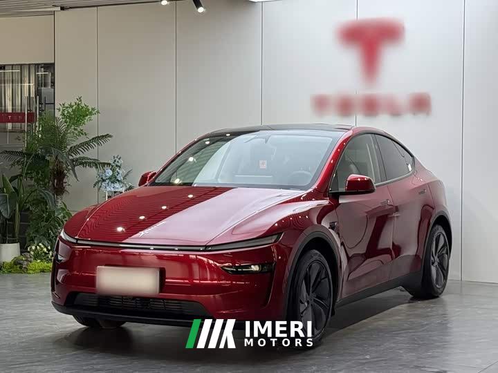 Tesla Model Y Rear-Wheel Drive