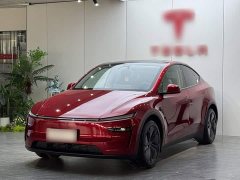 Tesla Model Y Rear-Wheel Drive - ფოტო 1