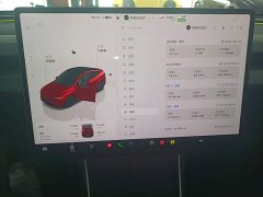 Tesla Model Y Rear-Wheel Drive - ფოტო 12