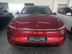 Tesla Model Y Rear-Wheel Drive - ფოტო 3