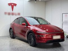 Tesla Model Y Rear-Wheel Drive - ფოტო 4
